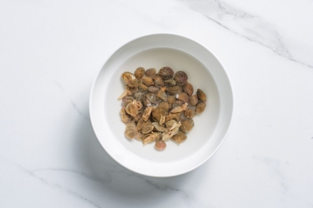 Preparazione Moscardini al sugo - Fase 2 Preparazione Moscardini al sugo - Fase 2