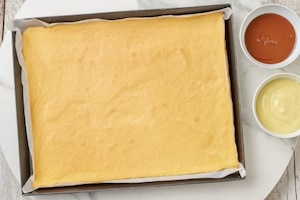 Preparazione Pasta biscotto - Fase 3