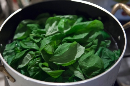 Preparazione Polpo con salsa d’arachidi, emulsione di basilico, polvere di olive taggiasche - Fase 3 Preparazione Polpo con salsa d’arachidi, emulsione di basilico, polvere di olive taggiasche - Fase 3