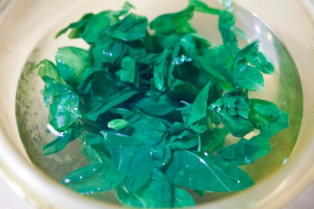 Preparazione Polpo con salsa d’arachidi, emulsione di basilico, polvere di olive taggiasche - Fase 3 Preparazione Polpo con salsa d’arachidi, emulsione di basilico, polvere di olive taggiasche - Fase 3