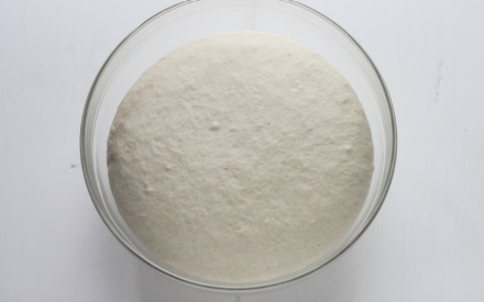 Preparazione Pita - Fase 2 Preparazione Pita - Fase 2