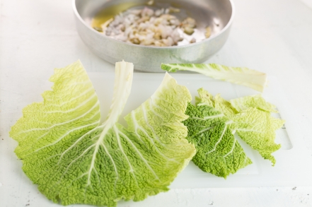 Preparazione Insalata di cavoli - Fase 1 Preparazione Insalata di cavoli - Fase 1