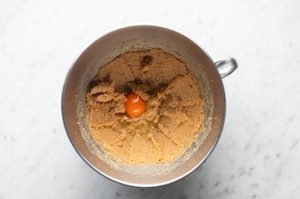 Preparazione Speculoos - Fase 1