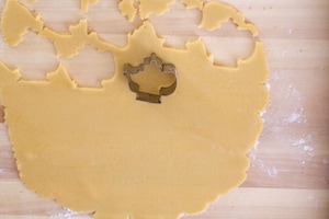 Preparazione Biscotti con il Bimby - Fase 2