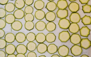 Preparazione Chips di zucchine - Fase 2