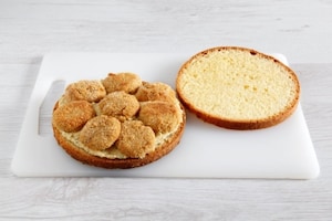 Preparazione Panettone per Nutritariani - Fase 7