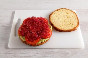 Preparazione Panettone per Vegetariani - Fase 5