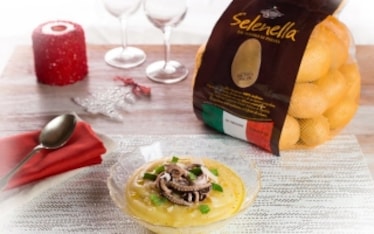 Insalata di polipetti su crema di patate con scaglie di grana e rucola