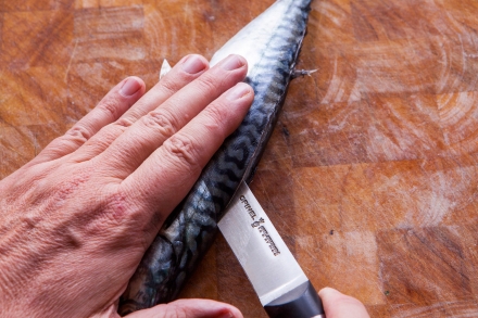 Preparazione Pàche con crema di patate, sgombro e alga wakame - Fase 2 Preparazione Pàche con crema di patate, sgombro e alga wakame - Fase 2