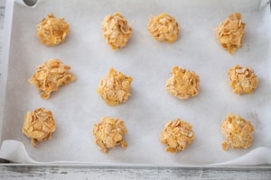 Preparazione Rose del deserto - Fase 3