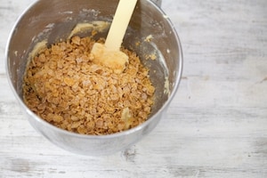 Preparazione Rose del deserto - Fase 2