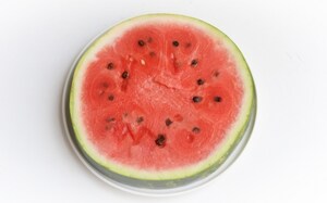 Preparazione Torta anguria - Fase 1