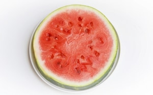 Preparazione Torta anguria - Fase 1