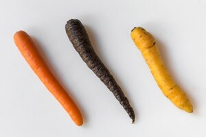 Preparazione Butterfly Ebi - Fase 1