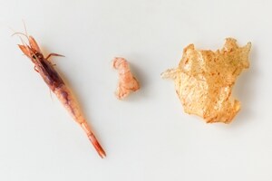 Preparazione Butterfly Ebi - Fase 3