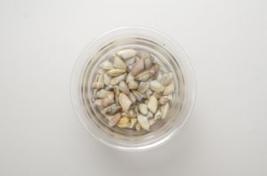 Preparazione Spaghetti con le arselle - Fase 1