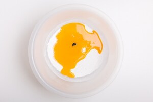 Preparazione Crema pasticciera di mandorla - Fase 2