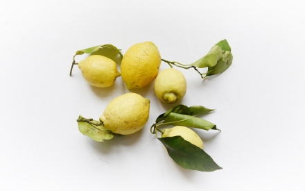 Preparazione Limoncello - Fase 1 Preparazione Limoncello - Fase 1