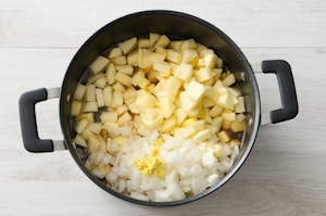 Preparazione Chutney di mela e zenzero  - Fase 2