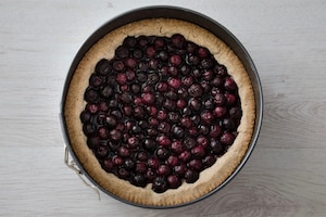 Preparazione Crostata rustica di mirtilli - Fase 4