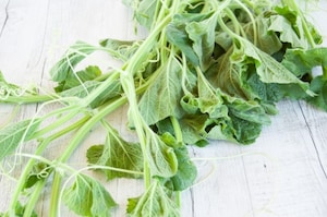 Preparazione Pasta con i tenerumi - Fase 1