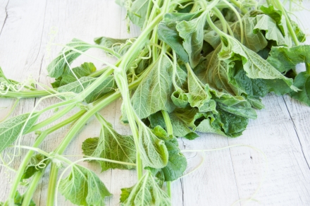 Preparazione Pasta con i tenerumi - Fase 1 Preparazione Pasta con i tenerumi - Fase 1