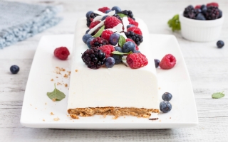 Mattonella di yogurt al cocco e frutti di bosco  Mattonella di yogurt al cocco e frutti di bosco