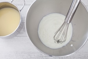 Preparazione Mattonella di yogurt al cocco e frutti di bosco  - Fase 1