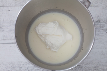 Preparazione Mattonella di yogurt al cocco e frutti di bosco  - Fase 2 Preparazione Mattonella di yogurt al cocco e frutti di bosco  - Fase 2