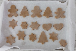 Preparazione Biscotti di pan di zenzero con il Bimby - Fase 2