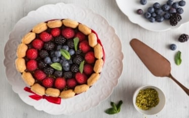 Charlotte al cioccolato e frutti di bosco