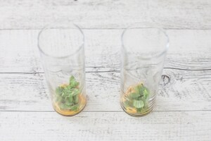 Preparazione Virgin mojito al frutto della passione - Fase 1