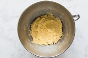 Preparazione Biscotti al limone - Fase 2