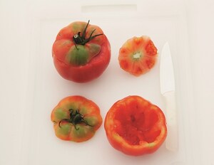 Preparazione Pomodori ripieni di pasta al tonno e primosale - Fase 1