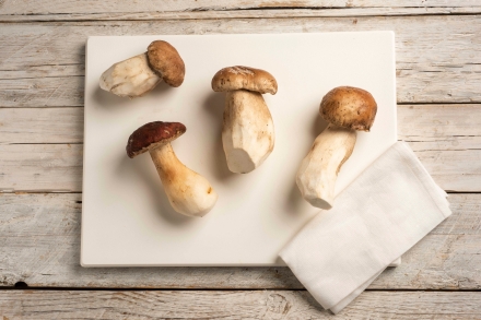 Preparazione Insalata di funghi porcini - Fase 1 Preparazione Insalata di funghi porcini - Fase 1