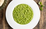 Risotto al basilico