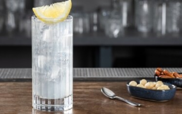 Gin Fizz