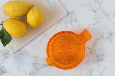 Preparazione Ghiaccioli al limone - Fase 1 Preparazione Ghiaccioli al limone - Fase 1