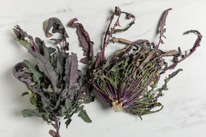 Preparazione Broccolo fiolaro in padella - Fase 1