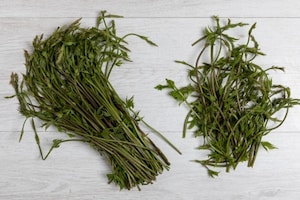 Preparazione Pasta con asparagi selvatici - Fase 1