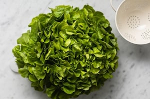 Preparazione Pesto di lattuga - Fase 1