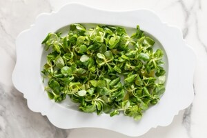 Preparazione Insalata caprese creativa - Fase 2