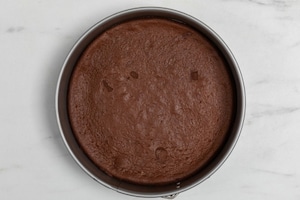 Preparazione Torta fredda ricotta e cioccolato - Fase 6