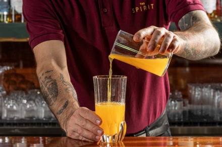 Preparazione Screwdriver - Fase 1 Preparazione Screwdriver - Fase 1