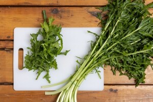 Preparazione Pesto di tarassaco - Fase 1
