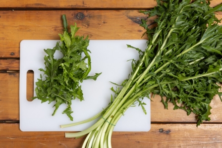 Preparazione Tarassaco in padella - Fase 1 Preparazione Tarassaco in padella - Fase 1