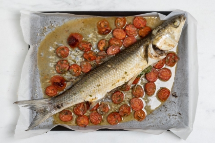 Preparazione Cefalo al forno  - Fase 5 Preparazione Cefalo al forno  - Fase 5