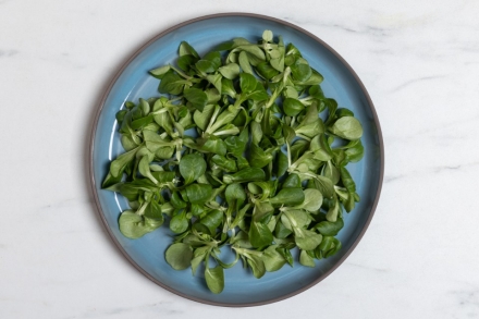 Preparazione Insalata di mela verde, ananas e valeriana - Fase 4 Preparazione Insalata di mela verde, ananas e valeriana - Fase 4