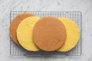 Preparazione Torta scenografica con le fragole - Fase 2