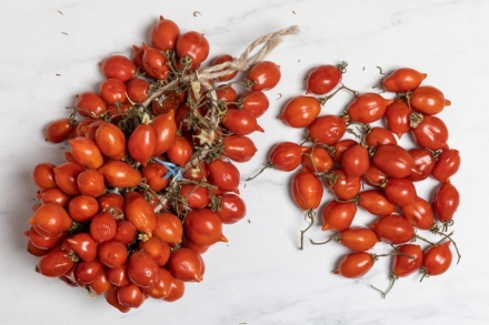 Preparazione Zuppa di cozze - Fase 1 Preparazione Zuppa di cozze - Fase 1
